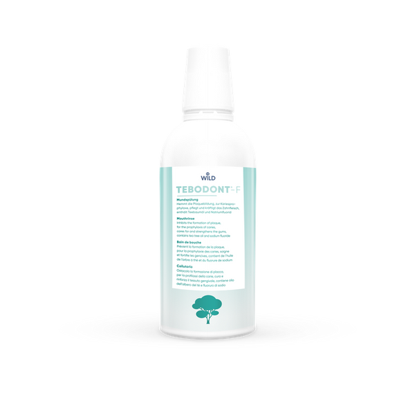 TEBODONT-F Mundspülung Fl 500 ml